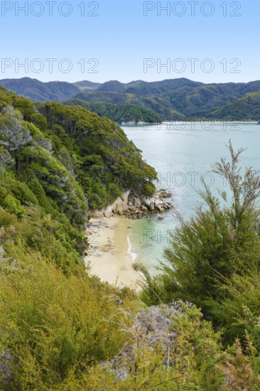Coastal sunny scenery at the Abel Tasman National Park in New Zealand