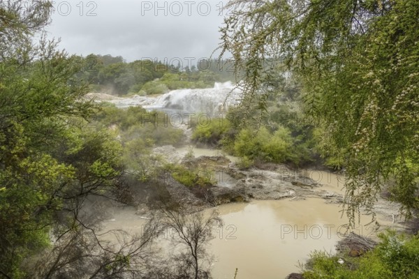 Scenery around the Geothermal Valley Te Puia in New Zealand