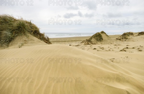 Scenery around the Ninety Mile Beach at the western coast of the North Island of New Zealand