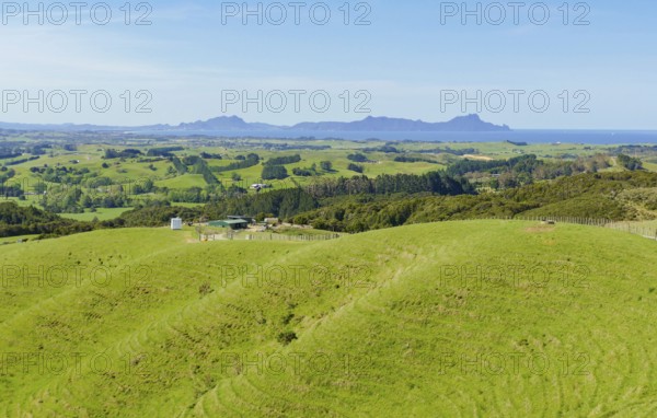 Idyllic rural scenery around the Auckland Region at the North Island of New Zealand