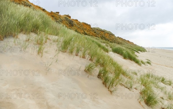 Rotes Kliff at Sylt, part of the North Frisian Islands in Germany