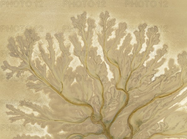 Abstract patterns at low tide in the marshland of the Nature Reserve La Breña y Marismas del Barbate. Aerial view. Drone shot. Cádiz province, Andalusia, Spain