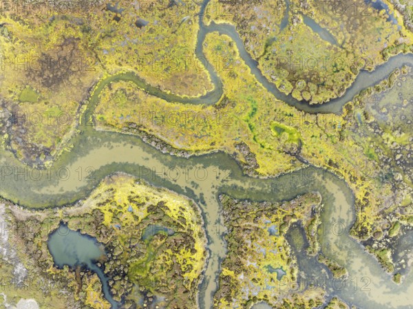 Marshland at low tide. Nature Reserve La Breña y Marismas del Barbate. Aerial view. Drone shot. Cádiz province, Andalusia, Spain