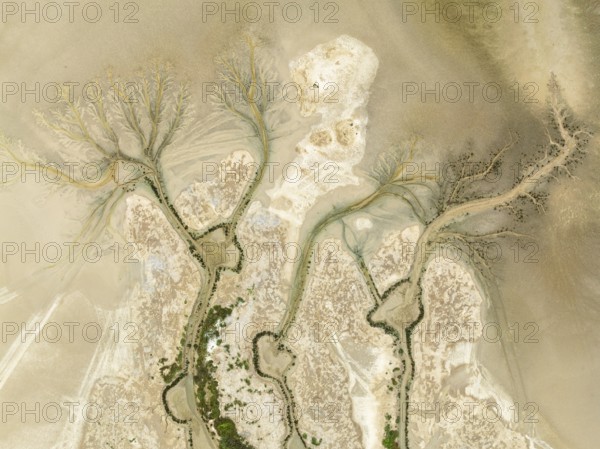Abstract patterns at low tide in the marshland of the Nature Reserve La Breña y Marismas del Barbate. Aerial view. Drone shot. Cádiz province, Andalusia, Spain