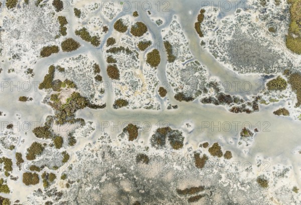 Marshland at low tide. Nature Reserve La Breña y Marismas del Barbate. Aerial view. Drone shot. Cádiz province, Andalusia, Spain