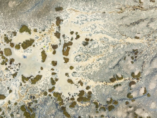 Marshland at low tide. Nature Reserve La Breña y Marismas del Barbate. Aerial view. Drone shot. Cádiz province, Andalusia, Spain