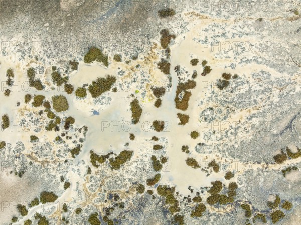 Marshland at low tide. Nature Reserve La Breña y Marismas del Barbate. Aerial view. Drone shot. Cádiz province, Andalusia, Spain