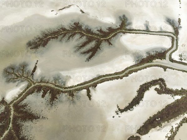 Abstract patterns at low tide in the marshland of the Nature Reserve La Breña y Marismas del Barbate. Aerial view. Drone shot. Cádiz province, Andalusia, Spain