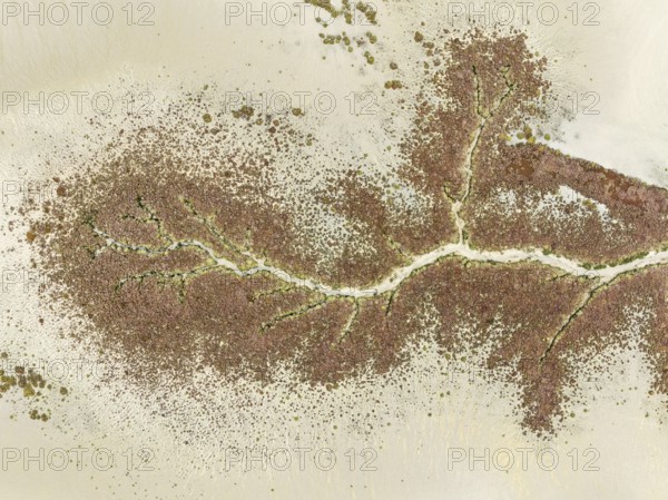 Abstract patterns at low tide in the marshland of the Nature Reserve La Breña y Marismas del Barbate. Aerial view. Drone shot. Cádiz province, Andalusia, Spain