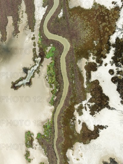 Marshland at low tide. Nature Reserve La Breña y Marismas del Barbate. Aerial view. Drone shot. Cádiz province, Andalusia, Spain