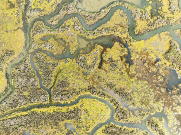 Marshland at low tide. Nature Reserve La Breña y Marismas del Barbate. Aerial view. Drone shot. Cádiz province, Andalusia, Spain