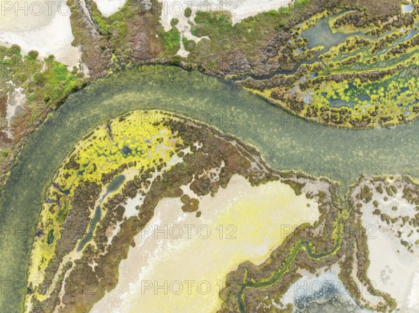 Marshland at low tide. Nature Reserve La Breña y Marismas del Barbate. Aerial view. Drone shot. Cádiz province, Andalusia, Spain