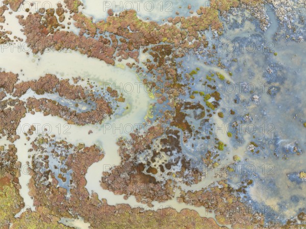 Marshland at low tide. Nature Reserve La Breña y Marismas del Barbate. Aerial view. Drone shot. Cádiz province, Andalusia, Spain