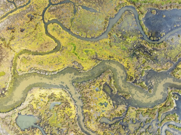 Marshland at low tide. Nature Reserve La Breña y Marismas del Barbate. Aerial view. Drone shot. Cádiz province, Andalusia, Spain