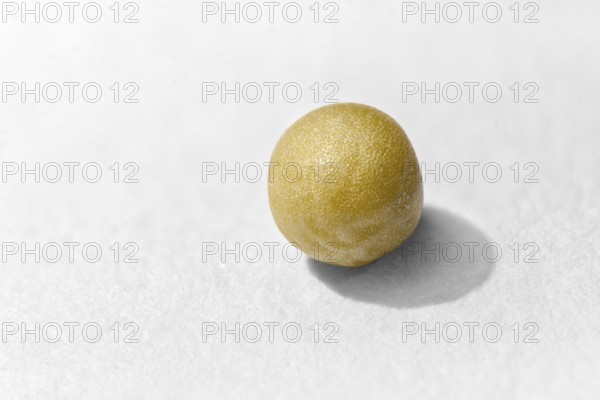 Macro shot of a mustard seed on white paper surface