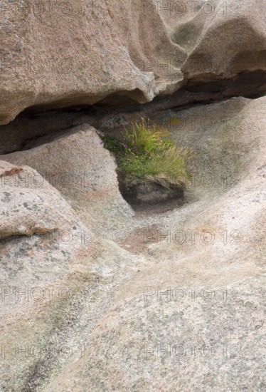 Granite boulder detail around Perros-Guirec at the Pink Granite Coast in Brittany, France