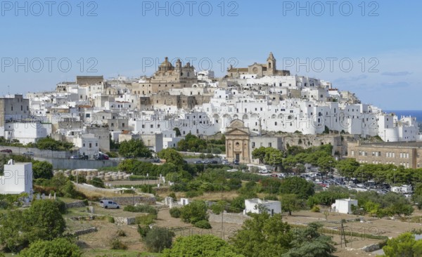Impression around Ostuni, a city in Apulia, Italy