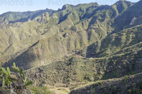 Impression around a mountain range named Macizo de Anaga at the island Tenerife in the Canary Islands