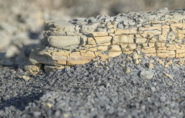Closeup shot of a brittle stone detail