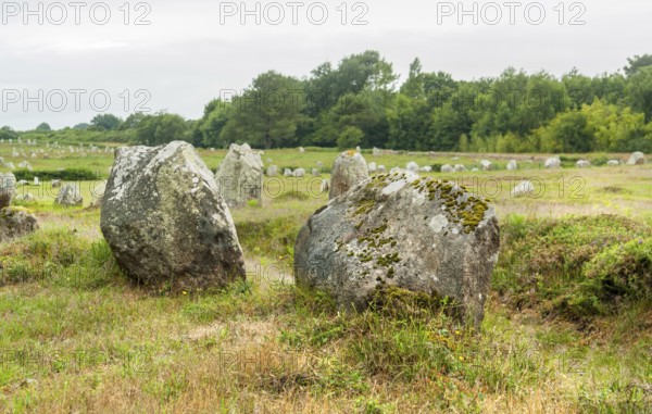 Scenery around the Carnac stones, a megalithic site in Brittany, France
