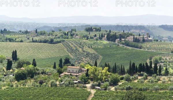Panoramic scenery located in the Chianti region of Tuscany, an area in Italy (Southern Europe)