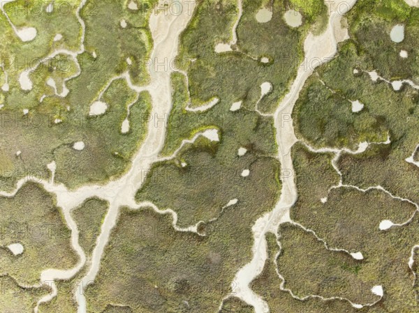 Abstract patterns of dry streams at low tide. In the marshland of the Bahía de Cádiz Nature Reserve. Aerial view. Drone shot. Cádiz province, Andalusia, Spain