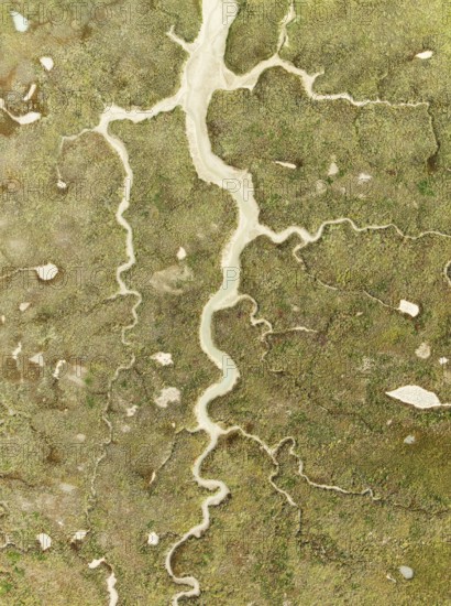 Abstract patterns of dry streams at low tide. In the marshland of the Bahía de Cádiz Nature Reserve. Aerial view. Drone shot. Cádiz province, Andalusia, Spain
