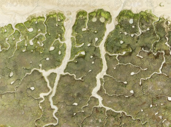 Abstract patterns of dry streams at low tide. In the marshland of the Bahía de Cádiz Nature Reserve. Aerial view. Drone shot. Cádiz province, Andalusia, Spain