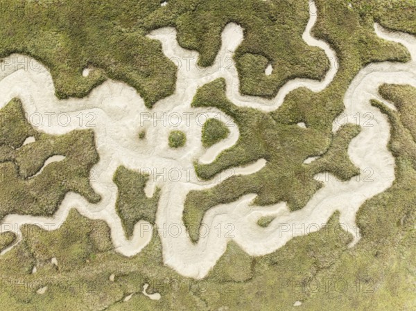 Abstract patterns of dry streams at low tide. In the marshland of the Bahía de Cádiz Nature Reserve. Aerial view. Drone shot. Cádiz province, Andalusia, Spain