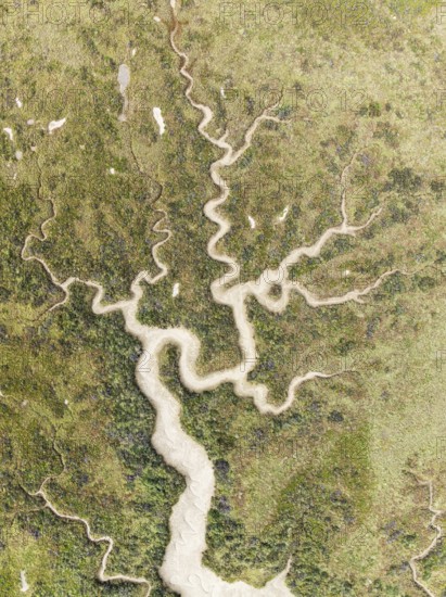 Abstract patterns of dry streams at low tide. In the marshland of the Bahía de Cádiz Nature Reserve. Aerial view. Drone shot. Cádiz province, Andalusia, Spain