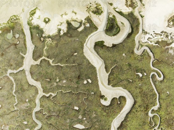 Abstract patterns of dry streams at low tide. In the marshland of the Bahía de Cádiz Nature Reserve. Aerial view. Drone shot. Cádiz province, Andalusia, Spain