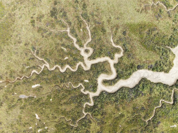 Abstract patterns of dry streams at low tide. In the marshland of the Bahía de Cádiz Nature Reserve. Aerial view. Drone shot. Cádiz province, Andalusia, Spain