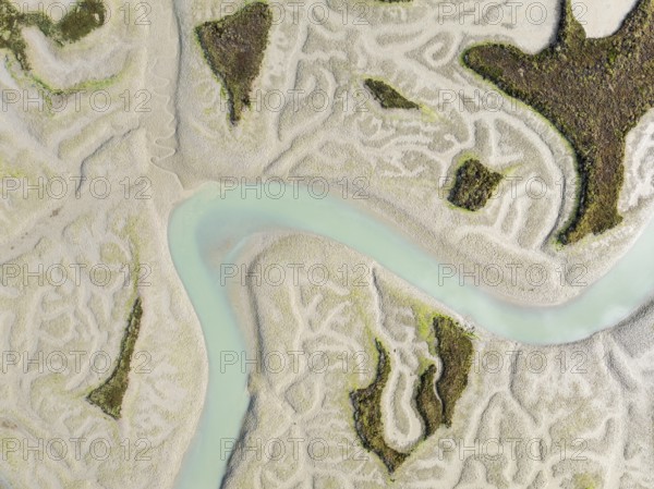 Network of channels and streams at low tide. In the marshland of the Bahía de Cádiz Nature Reserve. Aerial view. Drone shot. Cádiz province, Andalusia, Spain