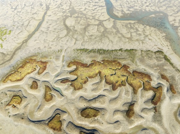 Network of channels and streams at low tide. In the marshland of the Bahía de Cádiz Nature Reserve. Aerial view. Drone shot. Cádiz province, Andalusia, Spain