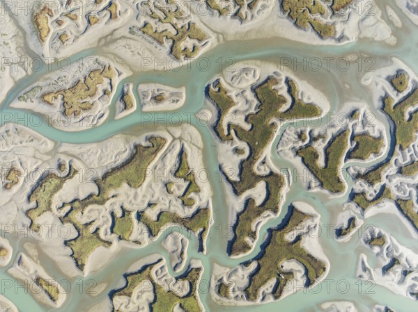 Network of channels and streams at low tide. In the marshland of the Bahía de Cádiz Nature Reserve. Aerial view. Drone shot. Cádiz province, Andalusia, Spain