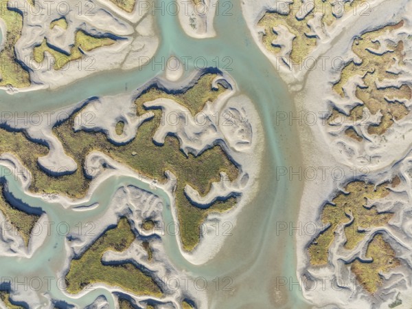 Network of channels and streams at low tide. In the marshland of the Bahía de Cádiz Nature Reserve. Aerial view. Drone shot. Cádiz province, Andalusia, Spain