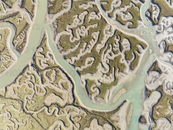 Network of channels and streams at low tide. In the marshland of the Bahía de Cádiz Nature Reserve. Aerial view. Drone shot. Cádiz province, Andalusia, Spain