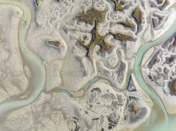 Network of channels and streams at low tide. In the marshland of the Bahía de Cádiz Nature Reserve. Aerial view. Drone shot. Cádiz province, Andalusia, Spain