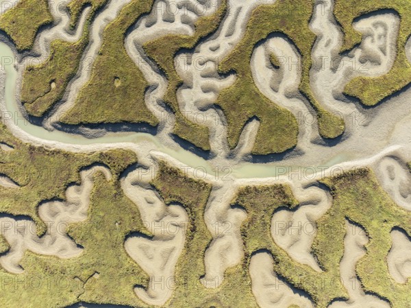 Network of channels and streams at low tide. In the marshland of the Bahía de Cádiz Nature Reserve. Aerial view. Drone shot. Cádiz province, Andalusia, Spain