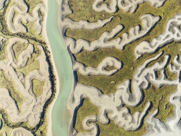 Network of channels and streams at low tide. In the marshland of the Bahía de Cádiz Nature Reserve. Aerial view. Drone shot. Cádiz province, Andalusia, Spain