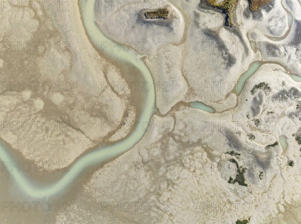 Network of channels and streams at low tide. In the marshland of the Bahía de Cádiz Nature Reserve. Aerial view. Drone shot. Cádiz province, Andalusia, Spain