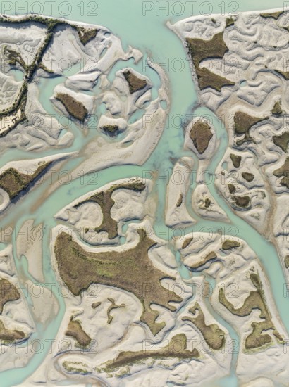Network of channels and streams at low tide. In the marshland of the Bahía de Cádiz Nature Reserve. Aerial view. Drone shot. Cádiz province, Andalusia, Spain