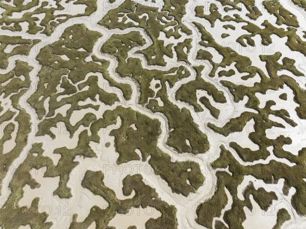 Network of dry channels and streams at low tide. In the marshland of the Bahía de Cádiz Nature Reserve. Aerial view. Drone shot. Cádiz province, Andalusia, Spain
