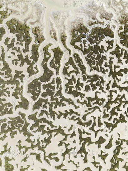 Network of dry channels and streams at low tide. In the marshland of the Bahía de Cádiz Nature Reserve. Aerial view. Drone shot. Cádiz province, Andalusia, Spain
