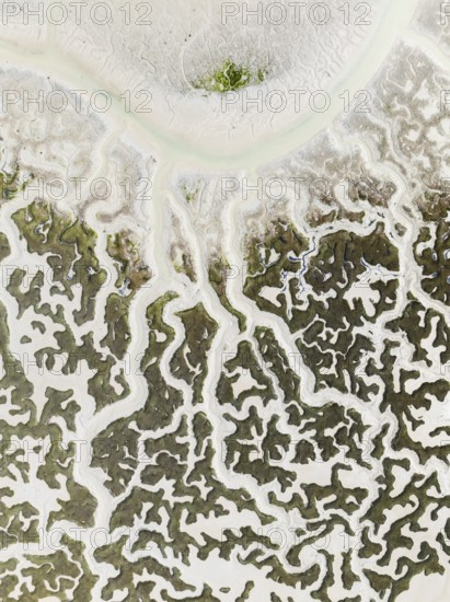 Network of dry channels and streams at low tide. In the marshland of the Bahía de Cádiz Nature Reserve. Aerial view. Drone shot. Cádiz province, Andalusia, Spain