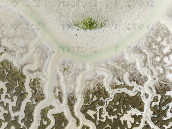 Network of dry channels and streams at low tide. In the marshland of the Bahía de Cádiz Nature Reserve. Aerial view. Drone shot. Cádiz province, Andalusia, Spain