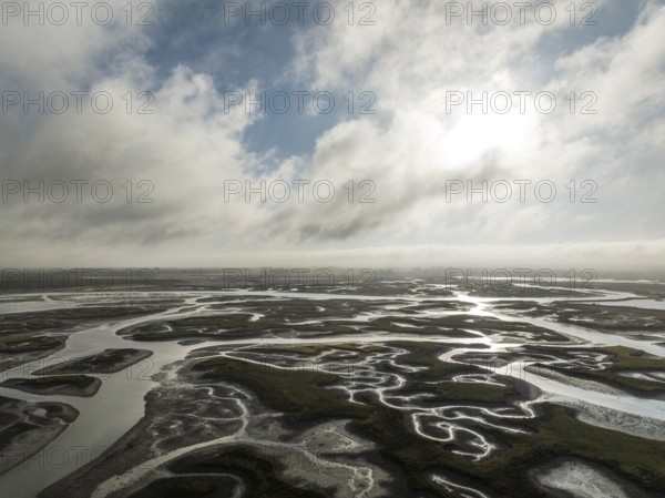 Network of channels and streams at low tide. In the marshland of the Bahía de Cádiz Nature Reserve. Aerial view. Drone shot. Cádiz province, Andalusia, Spain