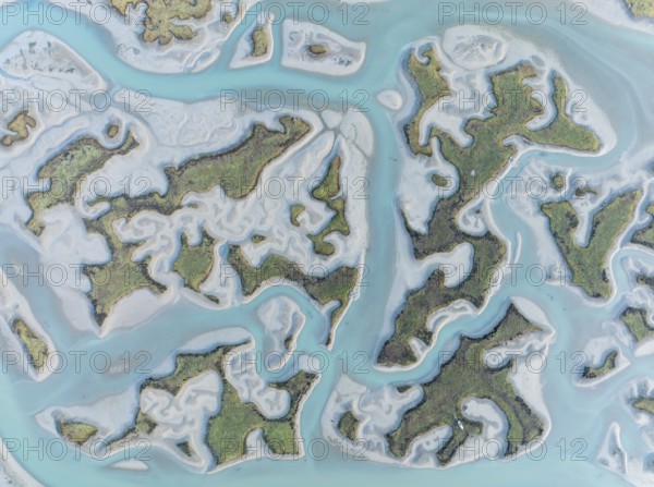 Network of channels and streams at low tide. In the marshland of the Bahía de Cádiz Nature Reserve. Aerial view. Drone shot. Cádiz province, Andalusia, Spain