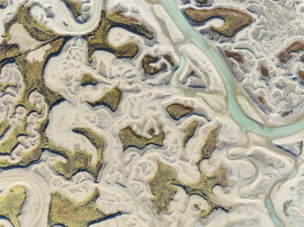 Network of channels and streams at low tide. In the marshland of the Bahía de Cádiz Nature Reserve. Aerial view. Drone shot. Cádiz province, Andalusia, Spain