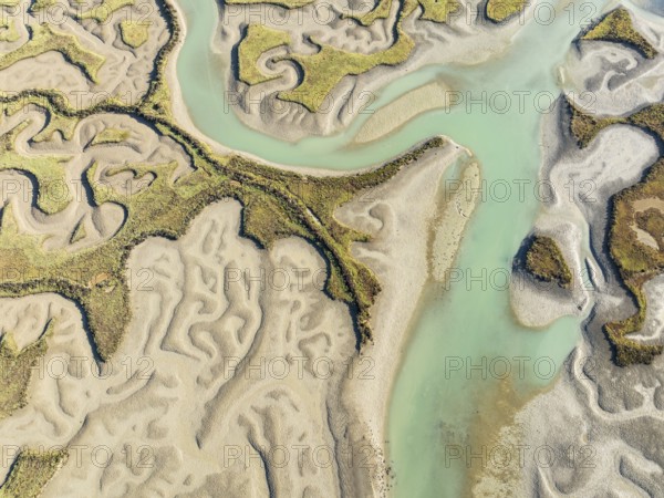 Network of channels and streams at low tide. In the marshland of the Bahía de Cádiz Nature Reserve. Aerial view. Drone shot. Cádiz province, Andalusia, Spain